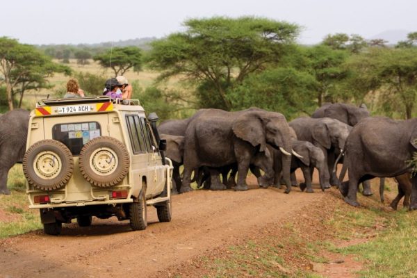 7 Days Tanzania Lodge Safari