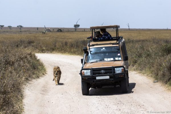 Masai Mara to Serengeti