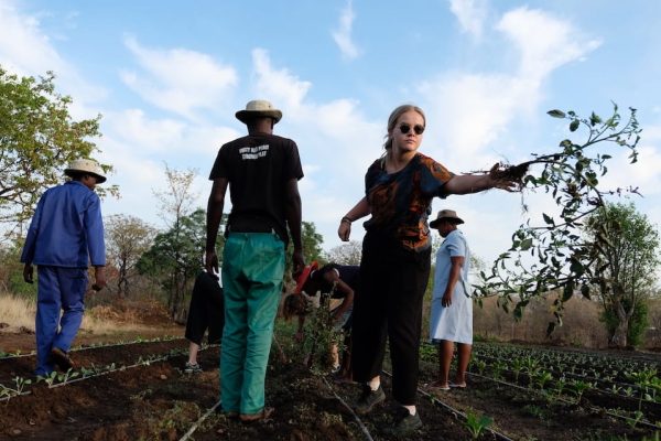 Victoria Falls & Zimbabwe Community Victoria Falls & Zimbabwe Community