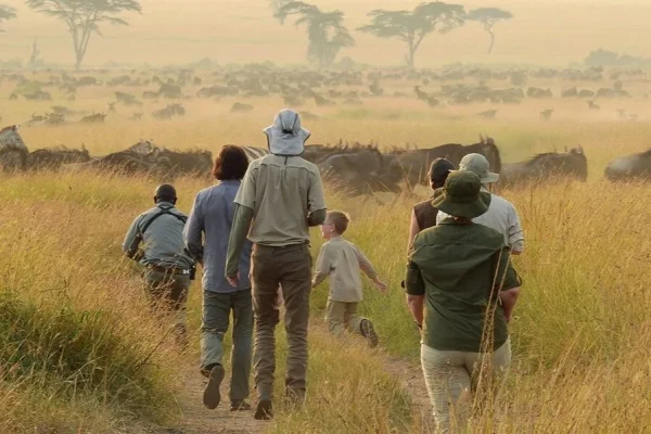 Serengeti Walking Safari Serengeti Walking Safari