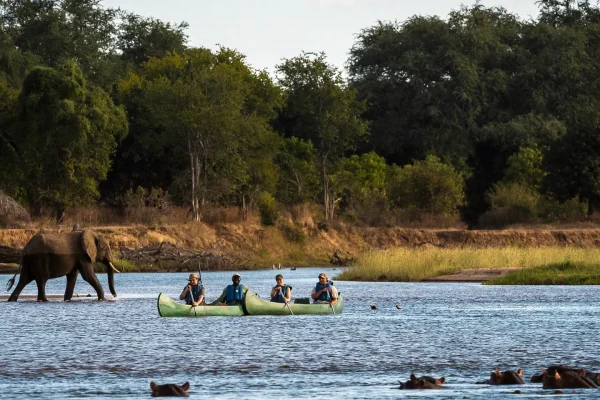 Walking Safari in Mana Pools Walking Safari in Mana Pools