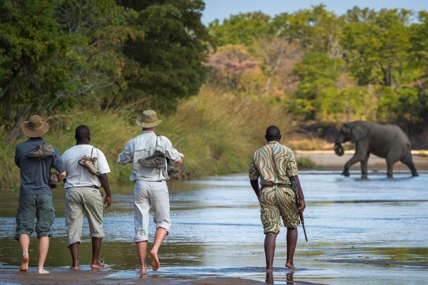 Zambia Walking Safari