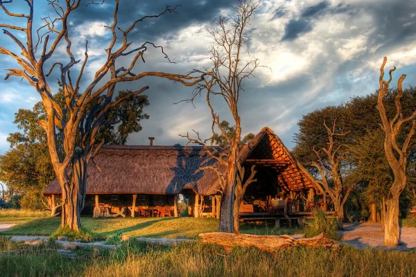 Zimbabwe Solo Single Safari