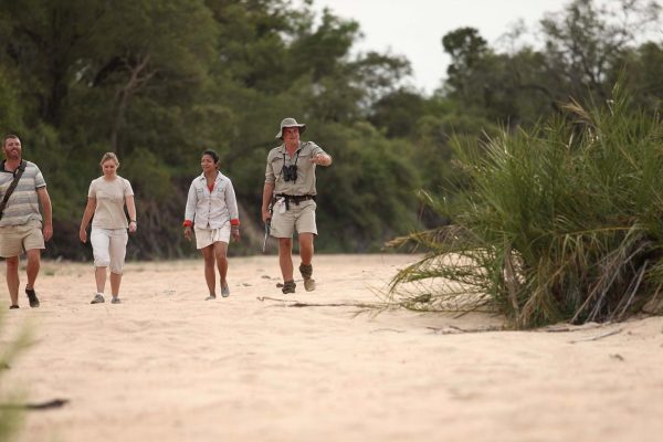 Kruger Walking Safari Kruger Walking Safari