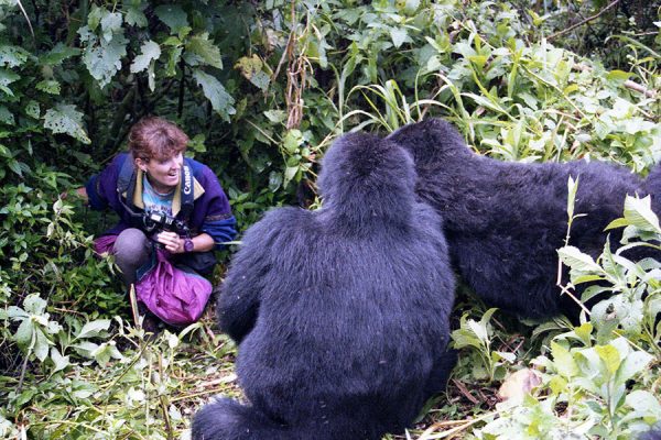 7-Day Double Gorilla Trekking