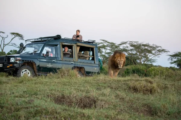 Shoulder Season Safaris