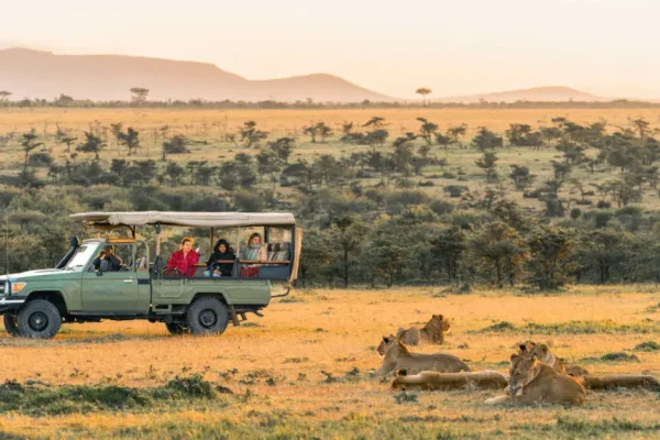 High Season Africa Safaris