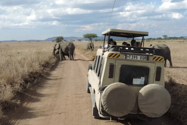 2-Week Tanzania And Zanzibar