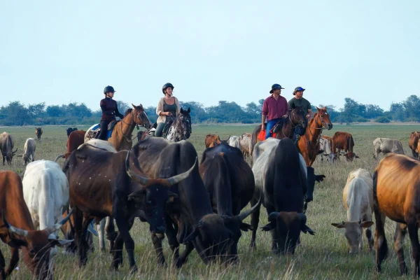Horse Riding Holidays in Zambia Horse Riding Holidays in Zambia
