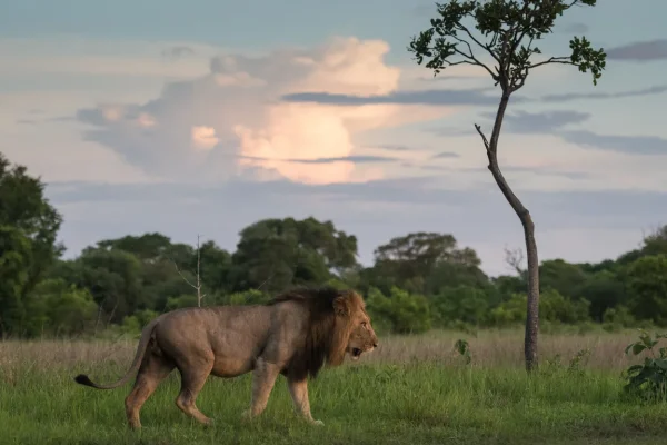 Kafue National Park Kafue National Park