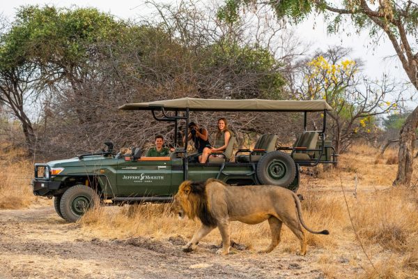 Zambia Safari Costs Zambia Safari Costs