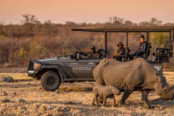 Zambia vs Zimbabwe vs Botswana
