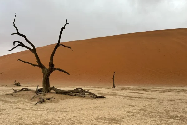 13-Day Namibia Safari