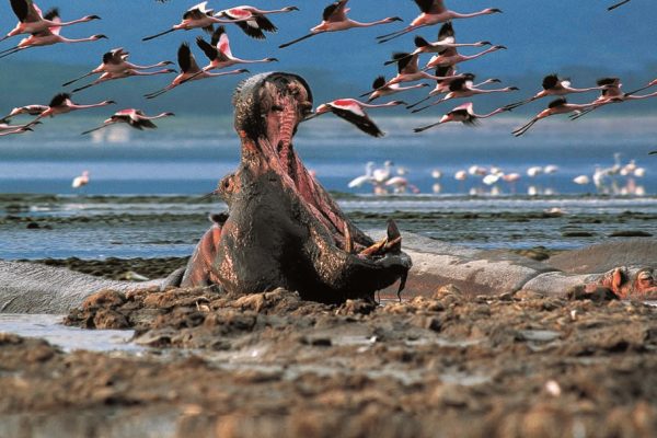 3-Day Lake Nakuru 3-Day Lake Nakuru