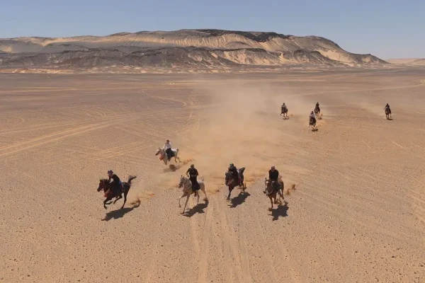 Horseback safaris in Egypt