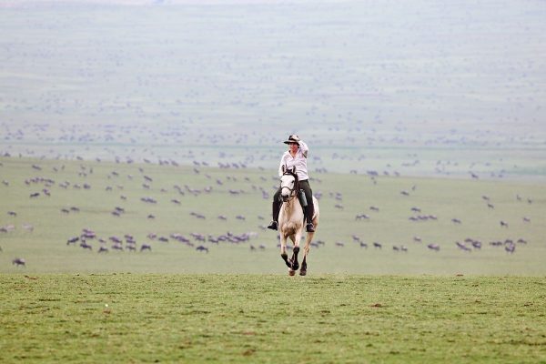 Serengeti Migration Horse Safari