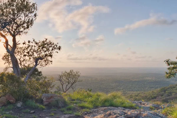 KwaZulu-Natal Beach & Phinda Safari