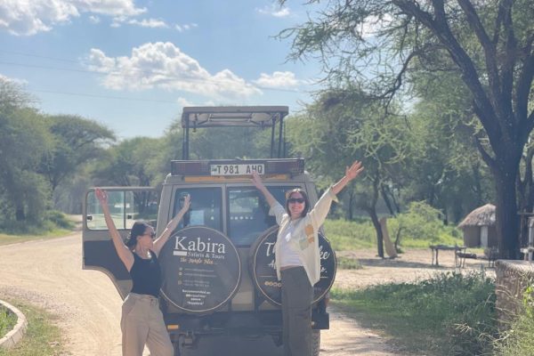 Serengeti Best Moments