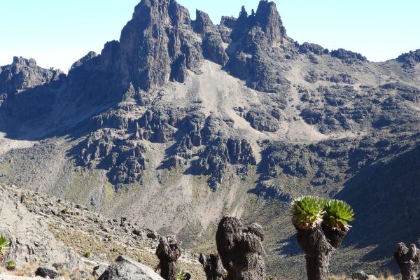 Mount Kenya vs Kilimanjaro