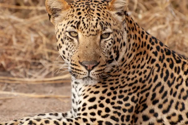 10-Day South Africa itinerary 10-Day South Africa itinerary