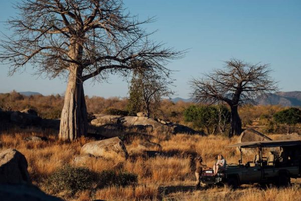 Ruaha National Park Wildlife Ruaha National Park Wildlife