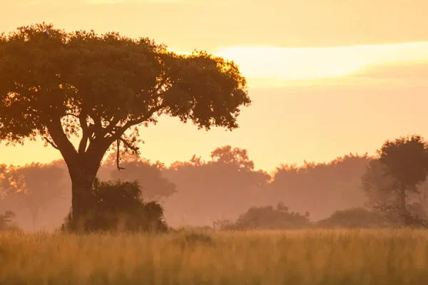 Kweene Trails Expedition and Walking Safari Kweene Trails Expedition and Walking Safari