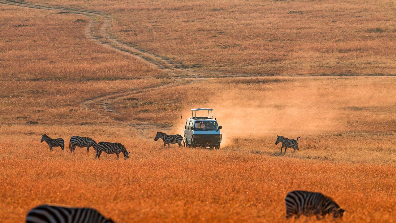 Worst/Best time to visit Kenya